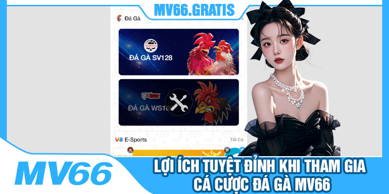 Lợi Ích Tuyệt Đỉnh Khi Tham Gia Cá Cược Đá Gà MV66