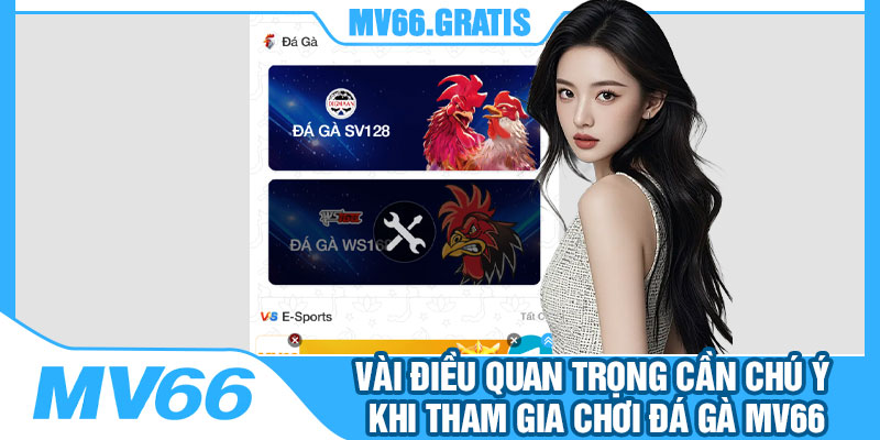 Vài Điều Quan Trọng Cần Chú Ý Khi Tham Gia Chơi Đá Gà MV66